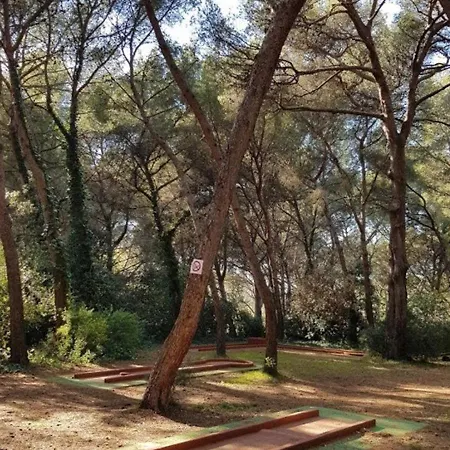 Six-fours-les-plages, 2 Pièces, 4 Personnes - Fr-1-316-94 *